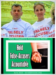 SAVE for Falsely Accused of DV-COLLAGE